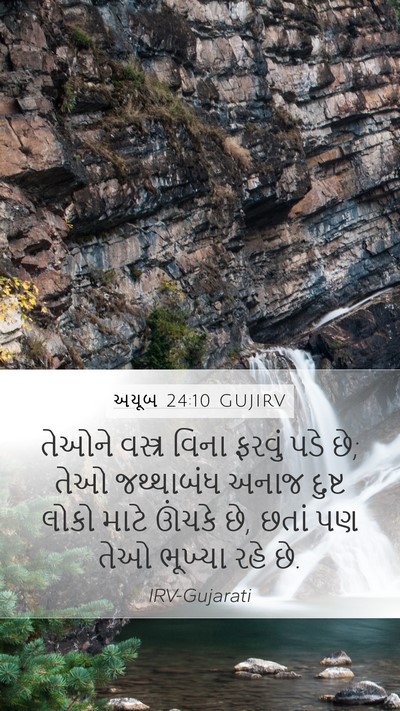 અયૂબ 24:10 GUJIRV Bible Verse Image