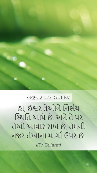 અયૂબ 24:23 GUJIRV Mobile Phone Wallpaper - હા, ઈશ્વર તેઓને - Mobile Bible Verse Wallpaper