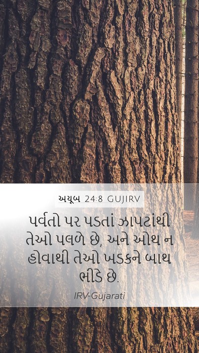 અયૂબ 24:8 GUJIRV Bible Verse Image