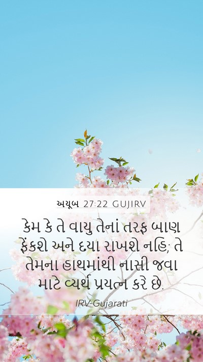 અયૂબ 27:22 GUJIRV Bible Verse Image