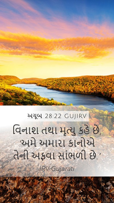 અયૂબ 28:22 GUJIRV Mobile Phone Wallpaper - વિનાશ તથા મૃત્યુ - Mobile Bible Verse Wallpaper