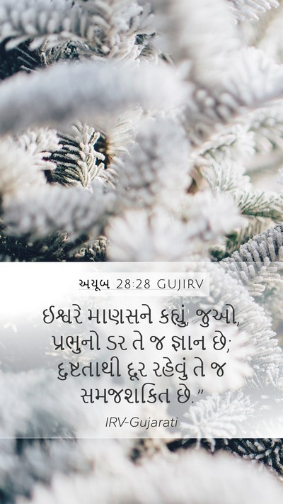 અયૂબ 28:28 GUJIRV Bible Verse Image
