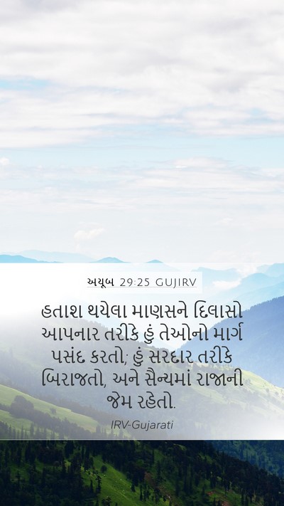 અયૂબ 29:25 GUJIRV Bible Verse Image