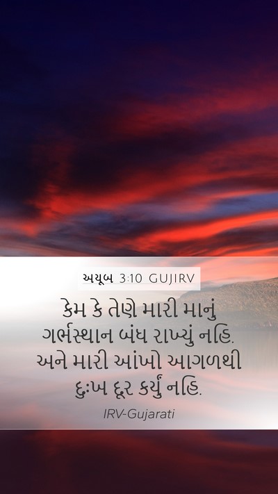 અયૂબ 3:10 GUJIRV Bible Verse Image