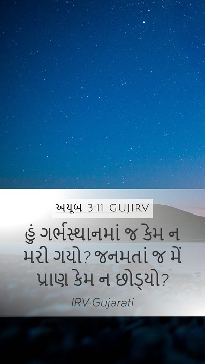 અયૂબ 3:11 GUJIRV Bible Verse Image