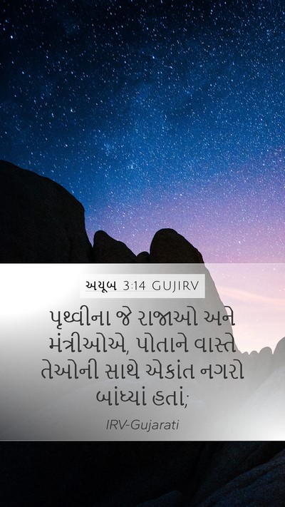 અયૂબ 3:14 GUJIRV Bible Verse Image