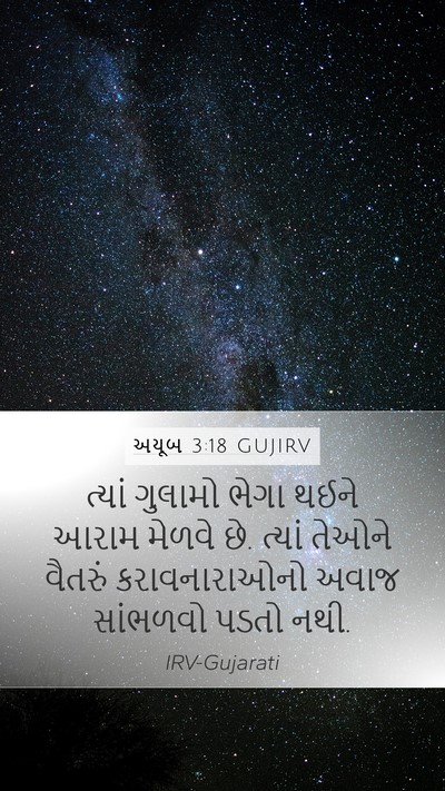 અયૂબ 3:18 GUJIRV Bible Verse Image