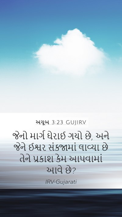 અયૂબ 3:23 GUJIRV Bible Verse Image