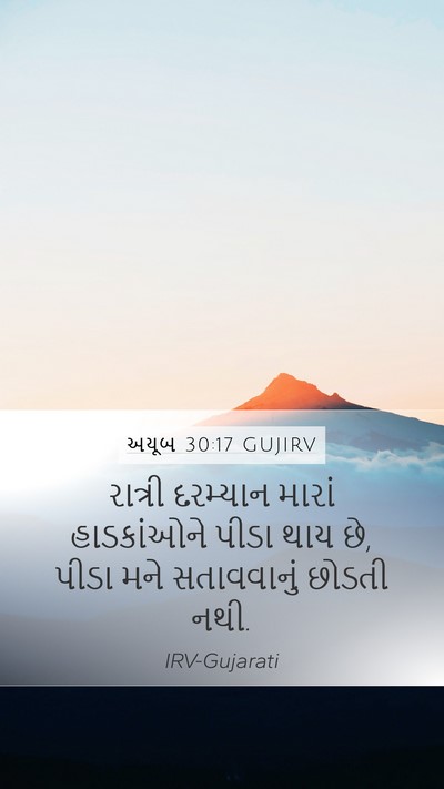 અયૂબ 30:17 GUJIRV Bible Verse Image