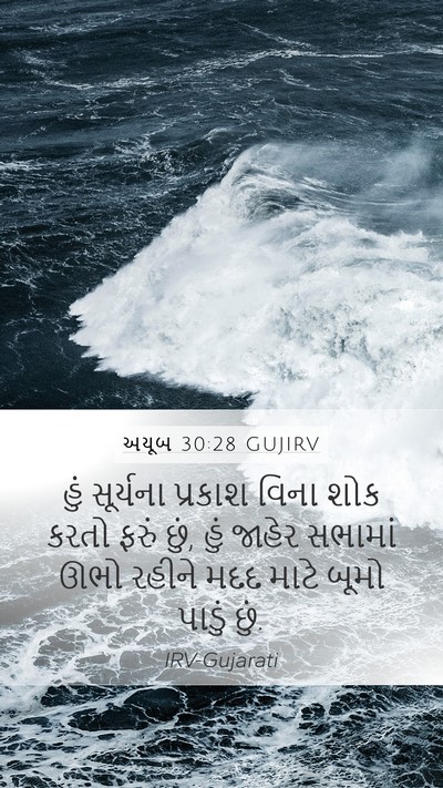 અયૂબ 30:28 GUJIRV Bible Verse Image