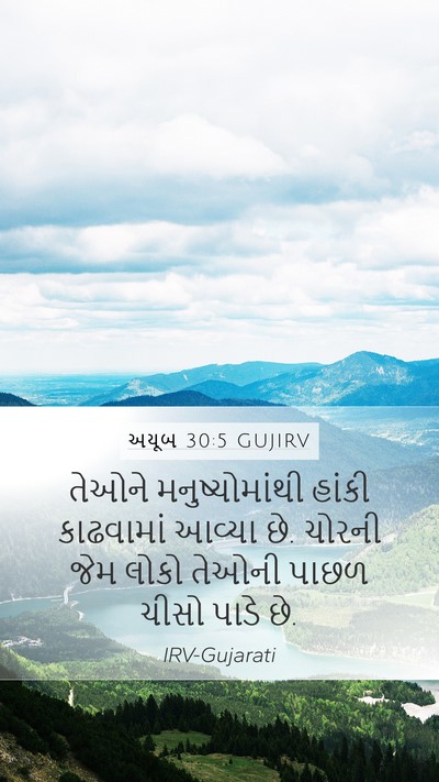 અયૂબ 30:5 GUJIRV Bible Verse Image