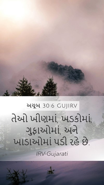 અયૂબ 30:6 GUJIRV Bible Verse Image