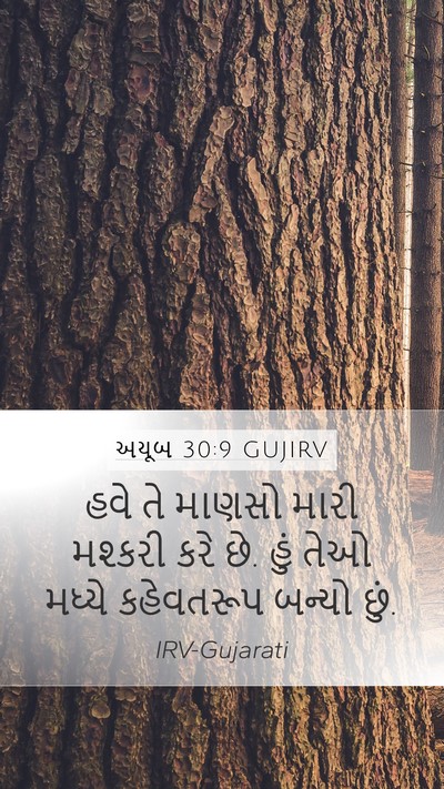 અયૂબ 30:9 GUJIRV Bible Verse Image