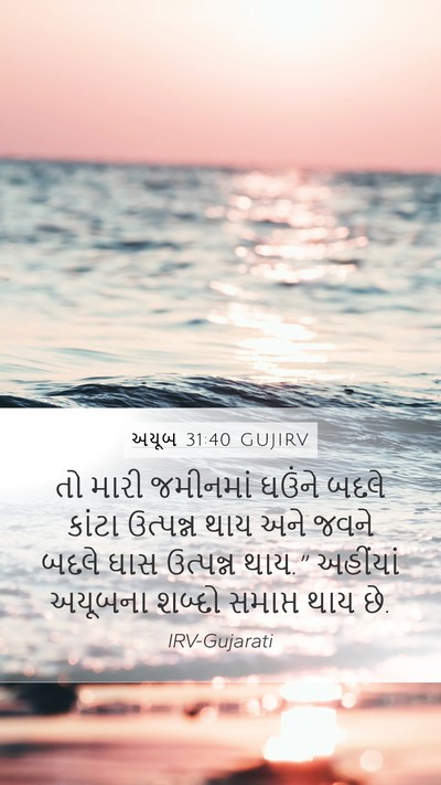 અયૂબ 31:40 GUJIRV Bible Verse Image
