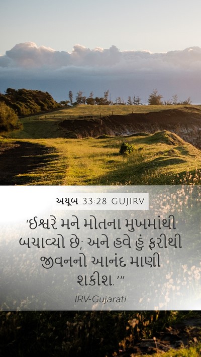 અયૂબ 33:28 GUJIRV Bible Verse Image