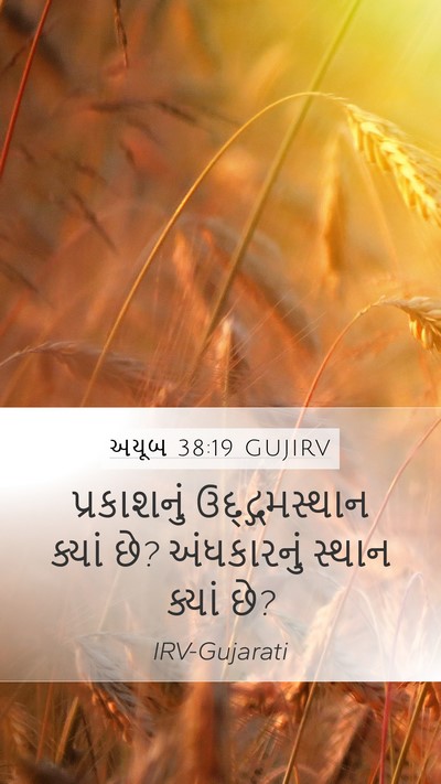અયૂબ 38:19 GUJIRV Bible Verse Image