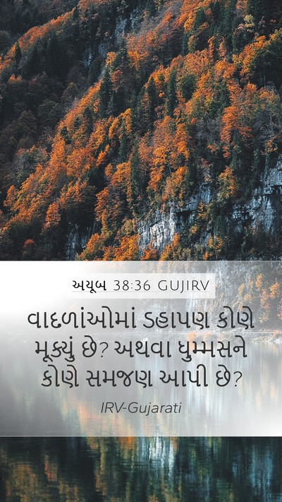 અયૂબ 38:36 GUJIRV Bible Verse Image