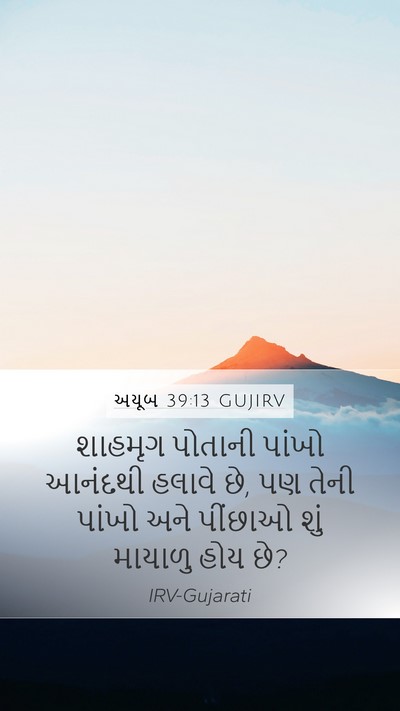અયૂબ 39:13 GUJIRV Bible Verse Image