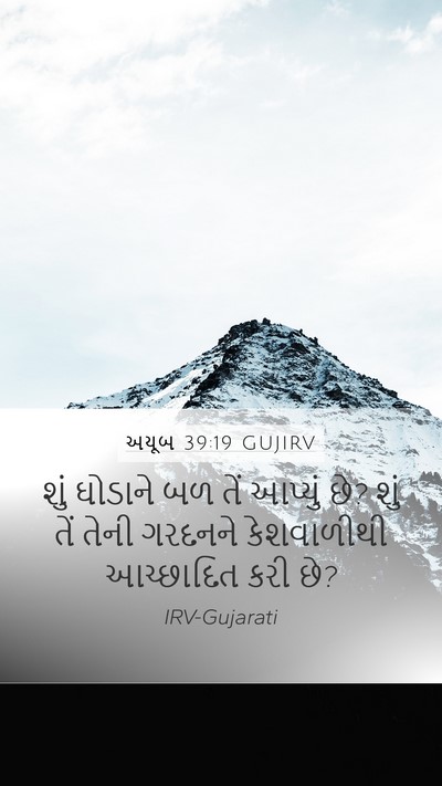 અયૂબ 39:19 GUJIRV Bible Verse Image