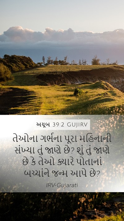 અયૂબ 39:2 GUJIRV Mobile Phone Wallpaper - તેઓના ગર્ભના પૂરા - Mobile Bible Verse Wallpaper