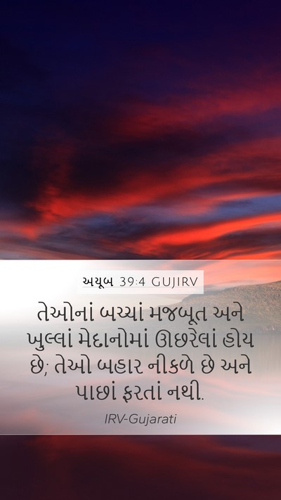 અયૂબ 39:4 GUJIRV Bible Verse Image