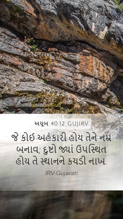 અયૂબ 40:12 GUJIRV Bible Verse Image