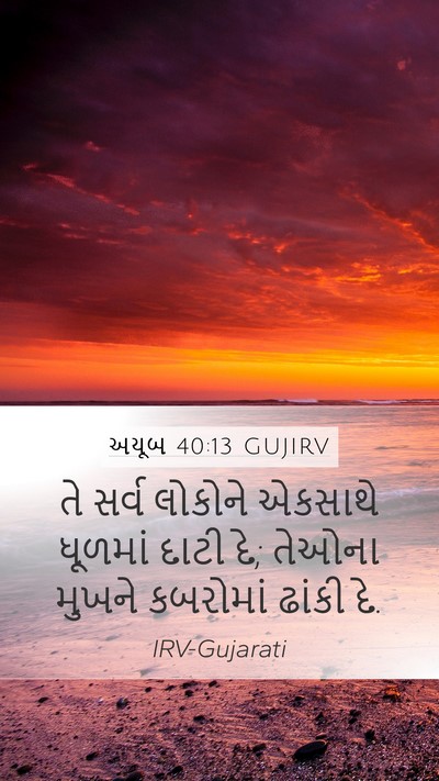 અયૂબ 40:13 GUJIRV Bible Verse Image