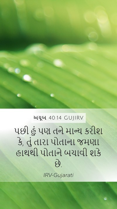 અયૂબ 40:14 GUJIRV Bible Verse Image
