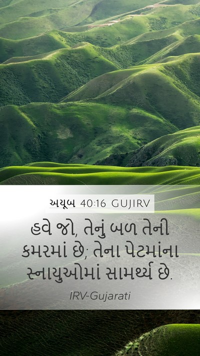 અયૂબ 40:16 GUJIRV Bible Verse Image