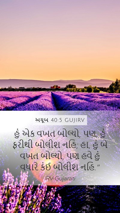 અયૂબ 40:5 GUJIRV Bible Verse Image
