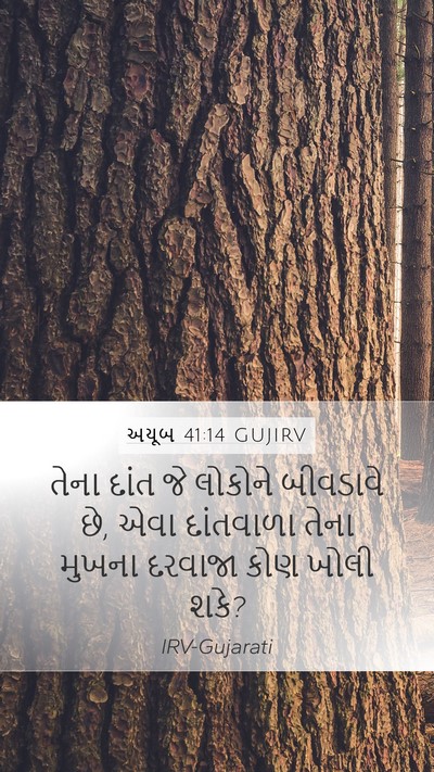 અયૂબ 41:14 GUJIRV Mobile Phone Wallpaper - તેના દાંત જે - Mobile Bible Verse Wallpaper