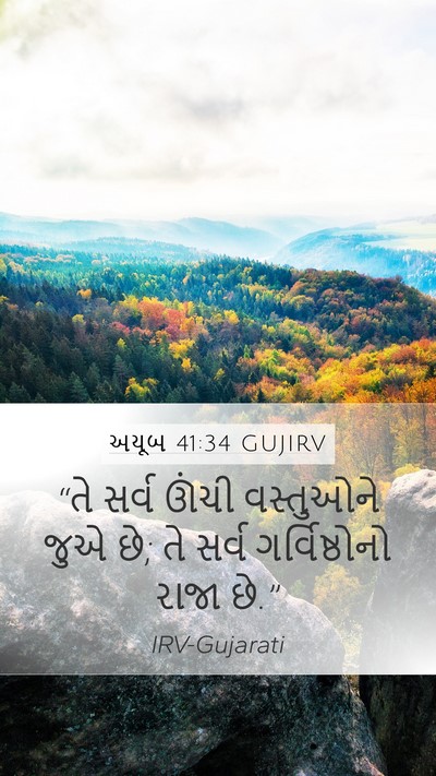 અયૂબ 41:34 GUJIRV Bible Verse Image