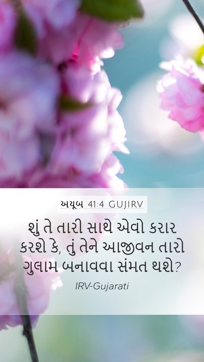 અયૂબ 41:4 GUJIRV Bible Verse Image