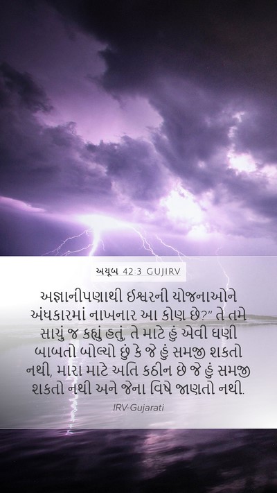અયૂબ 42:3 GUJIRV Bible Verse Image