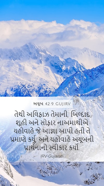 અયૂબ 42:9 GUJIRV Bible Verse Image