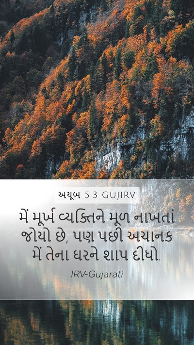 અયૂબ 5:3 GUJIRV Bible Verse Image