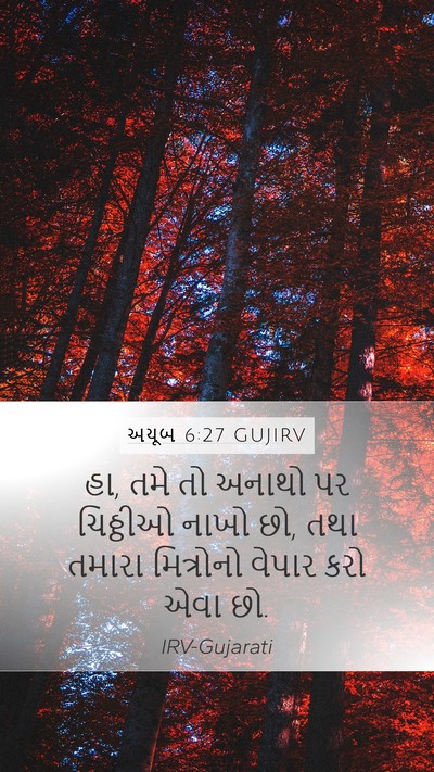 અયૂબ 6:27 GUJIRV Mobile Phone Wallpaper - હા, તમે તો અનાથો પર - Mobile Bible Verse Wallpaper