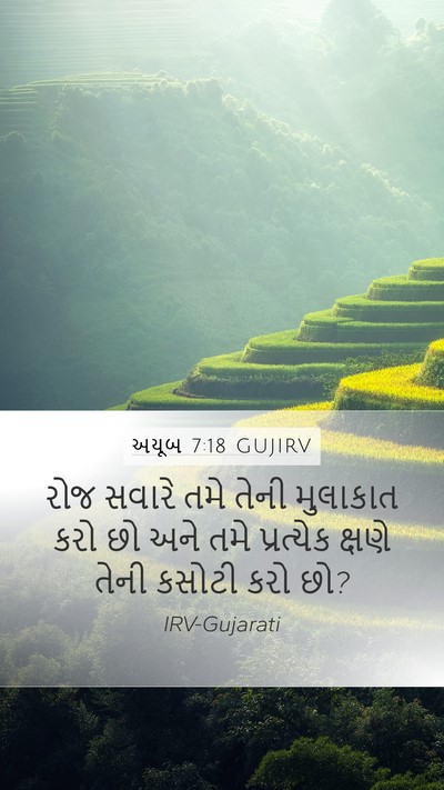 અયૂબ 7:18 GUJIRV Mobile Phone Wallpaper - રોજ સવારે તમે તેની - Mobile Bible Verse Wallpaper