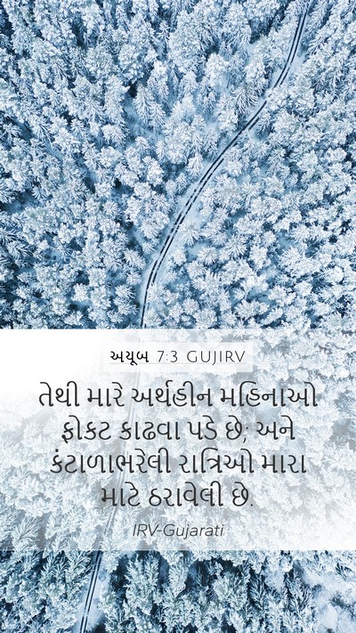અયૂબ 7:3 GUJIRV Bible Verse Image