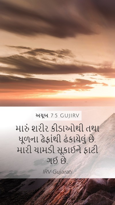 અયૂબ 7:5 GUJIRV Bible Verse Image