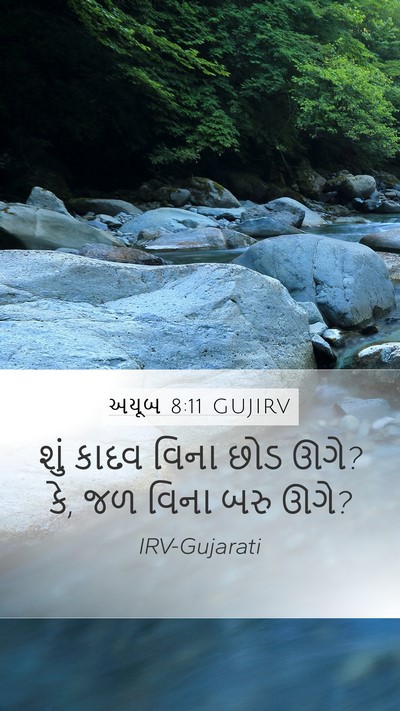 અયૂબ 8:11 GUJIRV Bible Verse Image