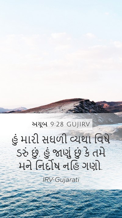 અયૂબ 9:28 GUJIRV Bible Verse Image