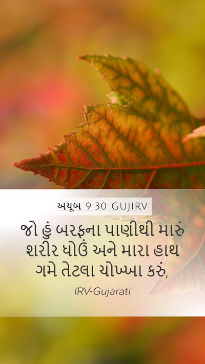 અયૂબ 9:30 GUJIRV Bible Verse Image