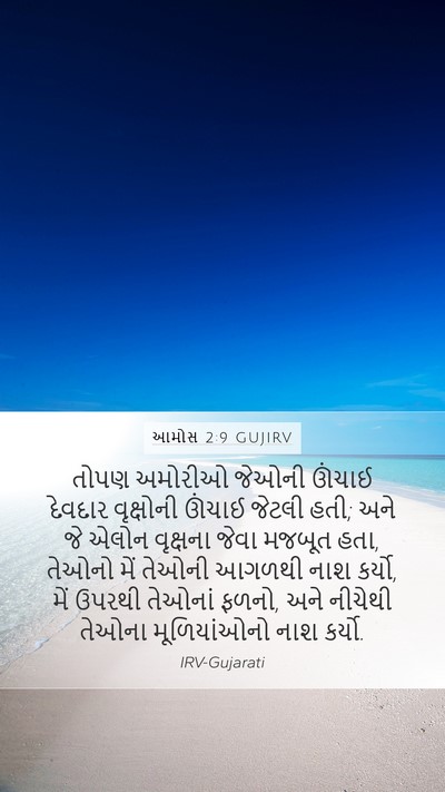 આમોસ 2:9 GUJIRV Bible Verse Image