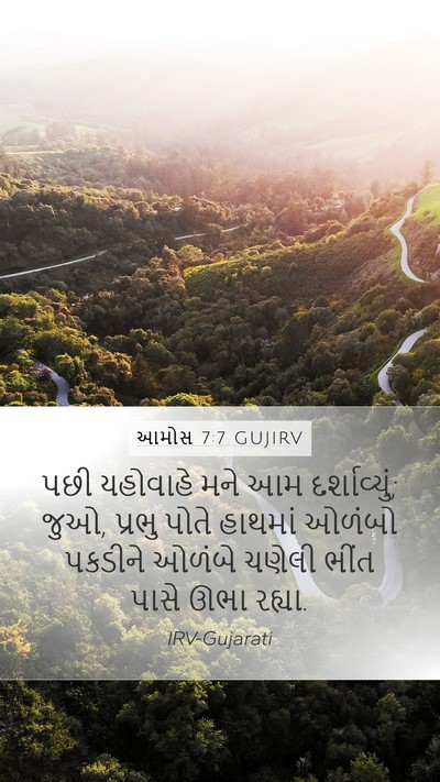 આમોસ 7:7 GUJIRV Bible Verse Image