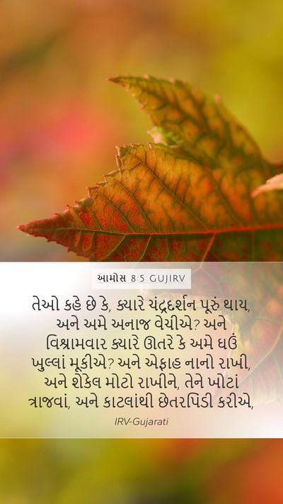 આમોસ 8:5 GUJIRV Bible Verse Image