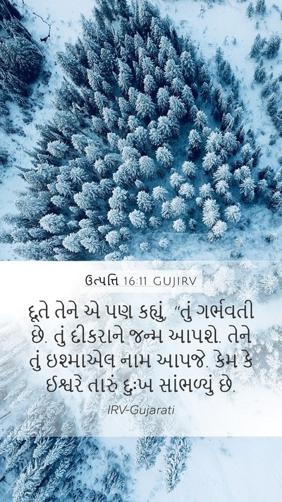 ઉત્પત્તિ 16:11 GUJIRV Bible Verse Image