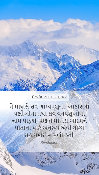 ઉત્પત્તિ 2:20 GUJIRV Bible Verse Image