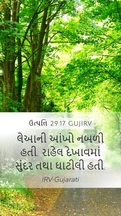 ઉત્પત્તિ 29:17 GUJIRV Bible Verse Image