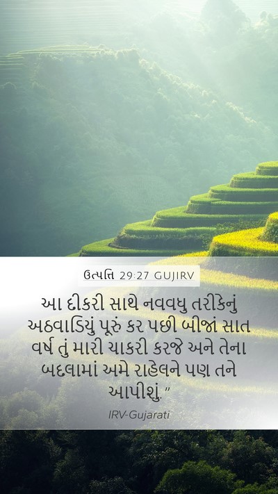 ઉત્પત્તિ 29:27 GUJIRV Bible Verse Image
